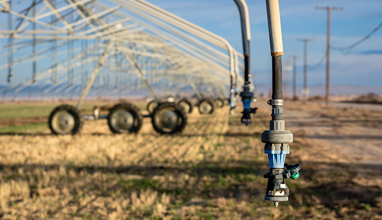 Saving water: 5 tips to apply in your operations