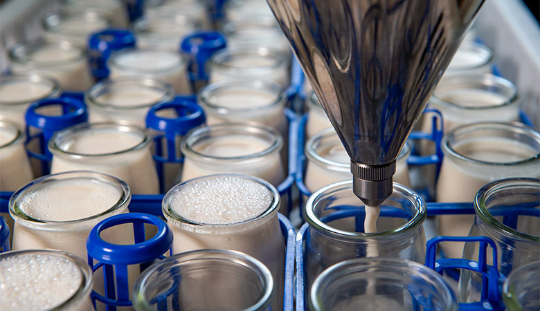 Food industry: a guide to pick washing solutions