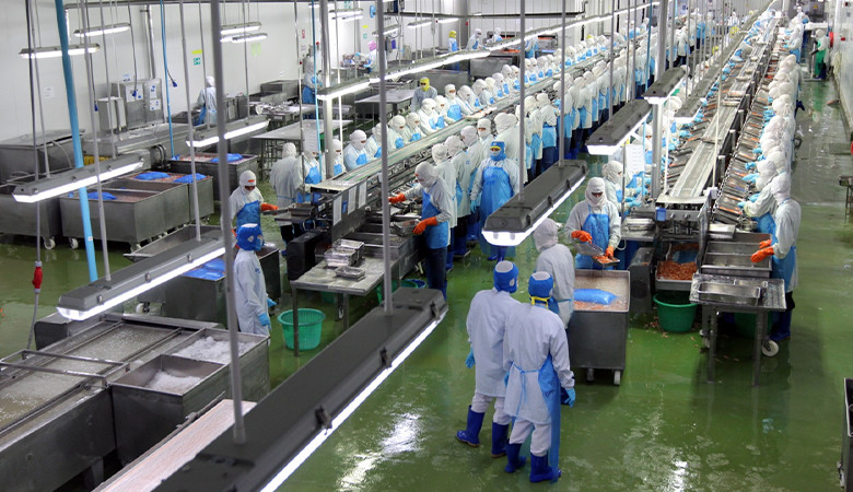 Tunnels de lavage : avantages, inconvénients et alternatives