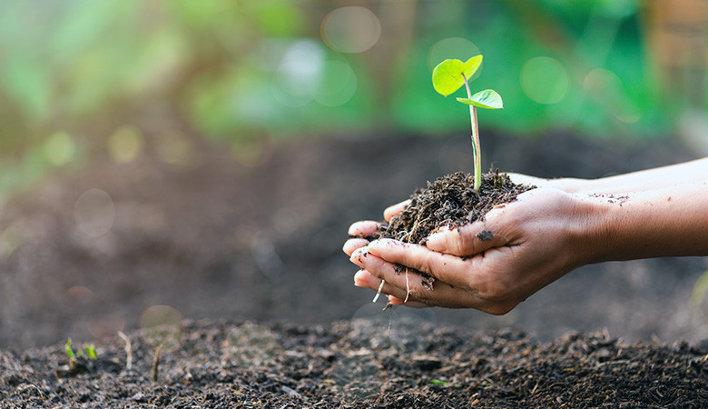 Objetivos de desenvolvimento sustentável: projeto para um futuro melhor