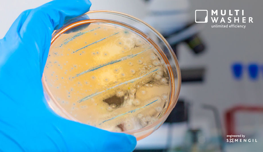 Biofilmes na cozinha profissional: o que são, por que preocupam e como vencê-los (sem drama)