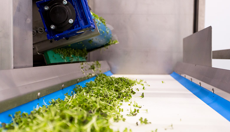 Lean Manufacturing in the food industry: more than a buzzword