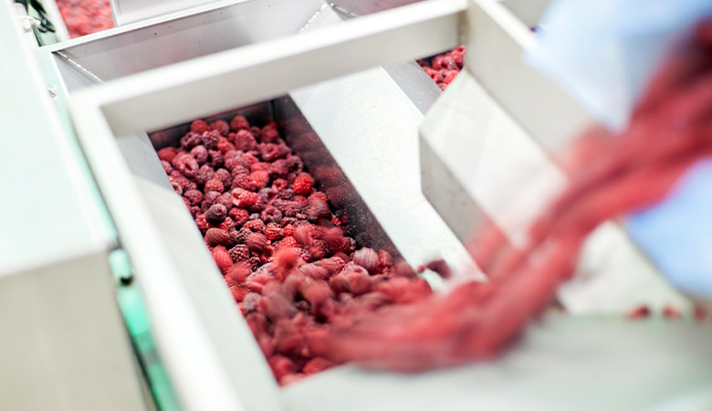 O que é uma máquina de lavar equipamentos para alimentos congelados e porque é importante